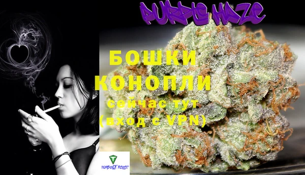 МДПВ Семилуки