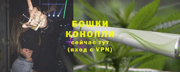 мдпв Семёнов