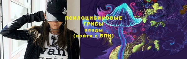 МДПВ Семилуки
